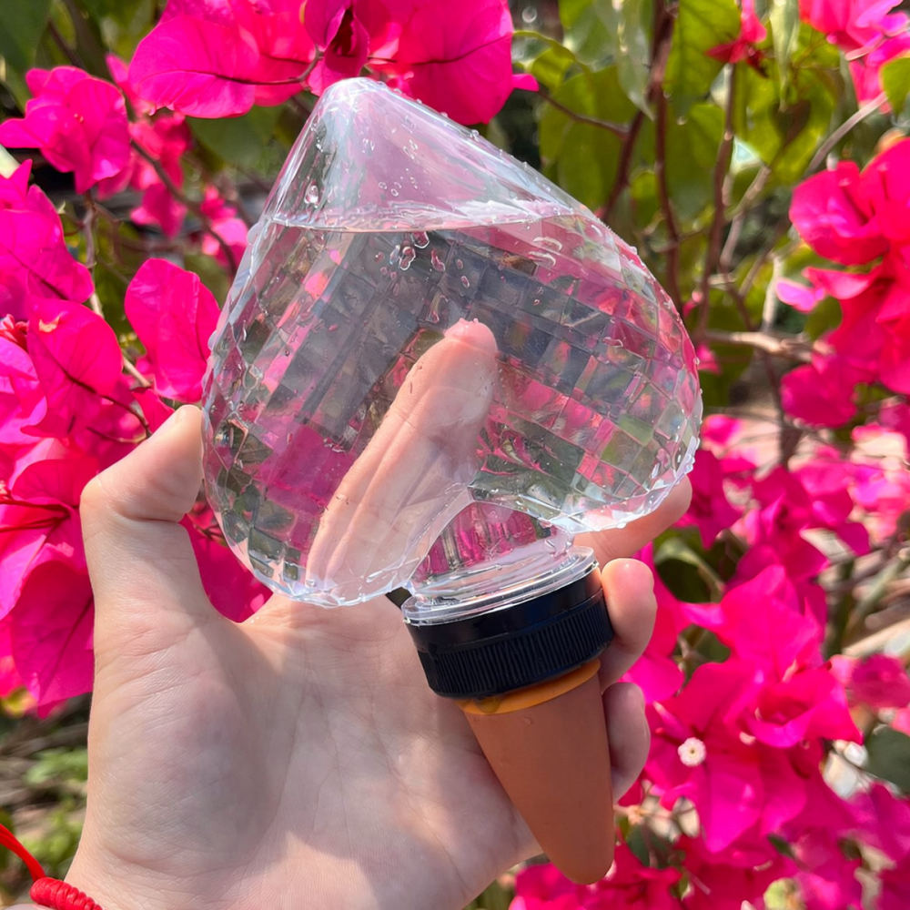 Heart Shaped Automatic Waterin - Automatic Plant Waterer review and price