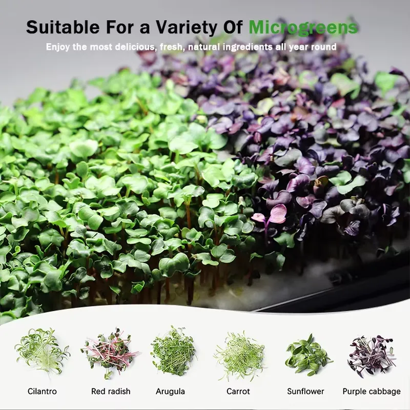 Microgreens Self Watering Hydr - Self-Watering Planter review and price
