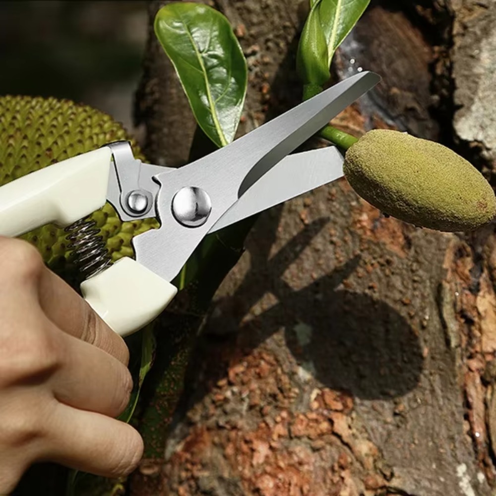 Professional Pruning Knife Han - Gardening Tools Essential review and price